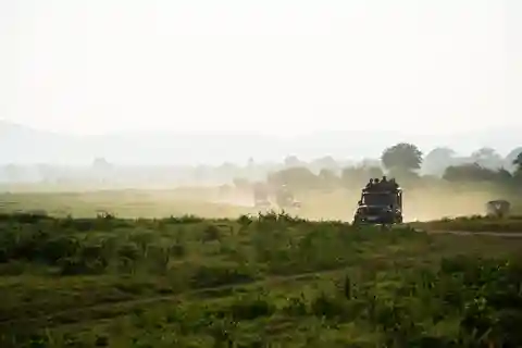 Bundala National Park Safari Tour - Safari in Golden Hours