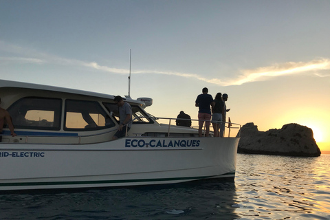Marseille: Sunset Boat Cruise with Buffet and Organic Wine Sunset Boat Cruise with Dinner & Drinks (Théatre Criée)