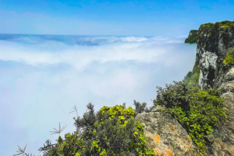 Salalah: Shaat Cliffs & Fazayah Beach Nature Private Tour
