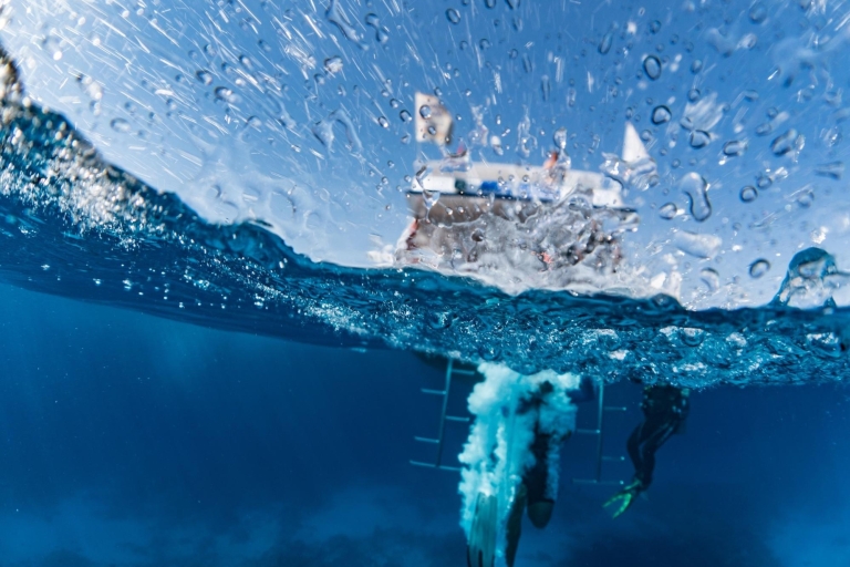 Sharm El Sheikh: Rejs na wyspę Tiran z nurkowaniem wprowadzającym
