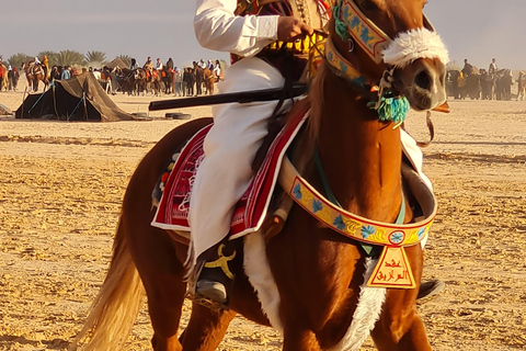 杰尔巴岛幻想曲：泻湖2小时传统马术表演