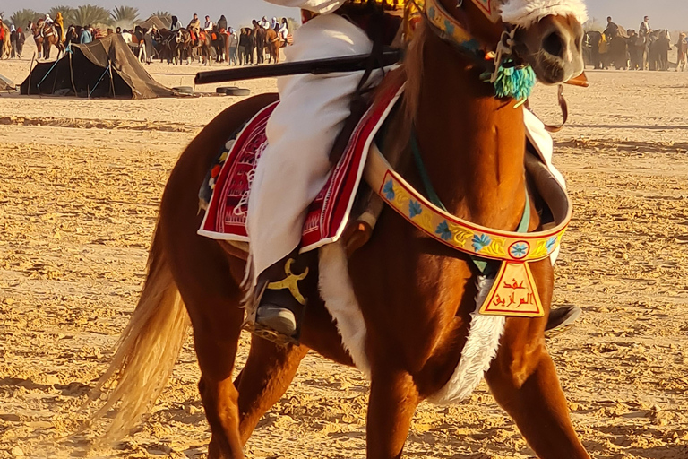 杰尔巴岛幻想曲：泻湖2小时传统马术表演