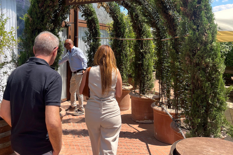 Florence: Pisa, Siena, & San Gimignano Day Trip with Lunch VIP SMALL GROUP