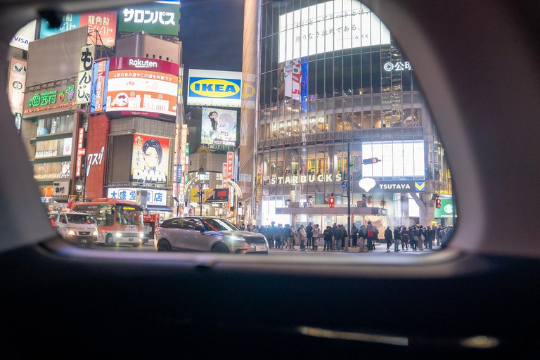Tokyo: 1-dagars höjdpunkter med privat bil och guide