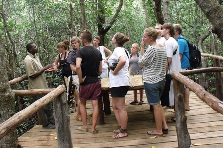 Zanzibar: Jozani Forest, Butterfly Center & Mtende Beach No HmHotel pickup and drop-off all included