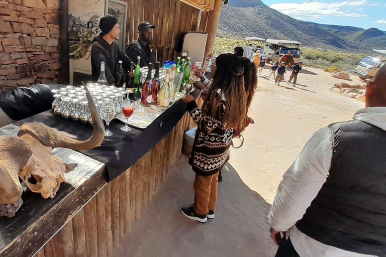 Cape Town Aquilla big sunset safari With transport & food aquila sunset bestseller