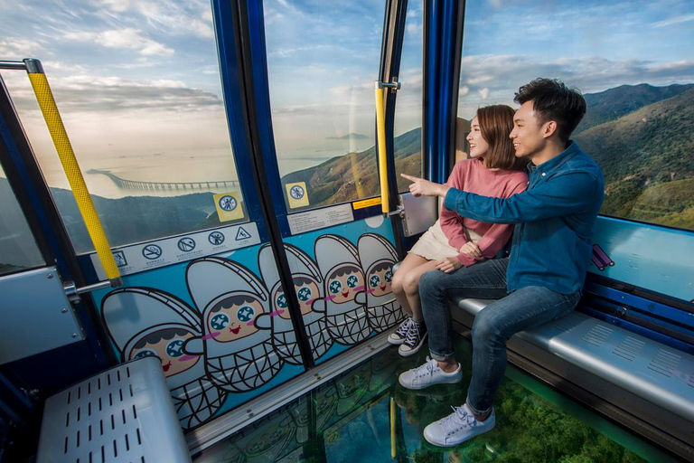 Lantau Tour with Cable Car, Tai O boat, lunch, hotel pick up