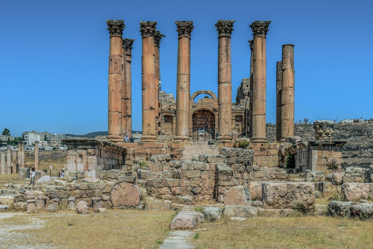 Vanuit Amman: Jerash Halve Dag TourTour met alleen vervoer