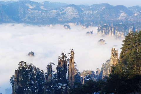 Zhangjiajie:Tour privado de un día