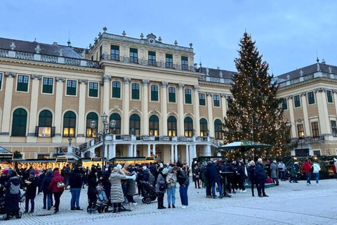 Viena: Tour a pie por el Palacio de Schönbrunn y el Mercado de NavidadViena: Visita a pie al Palacio de Schönbrunn y al Mercado de Navidad