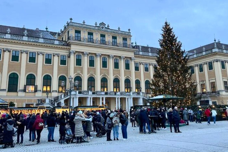 Viena: Tour a pie por el Palacio de Schönbrunn y el Mercado de NavidadViena: Visita a pie al Palacio de Schönbrunn y al Mercado de Navidad