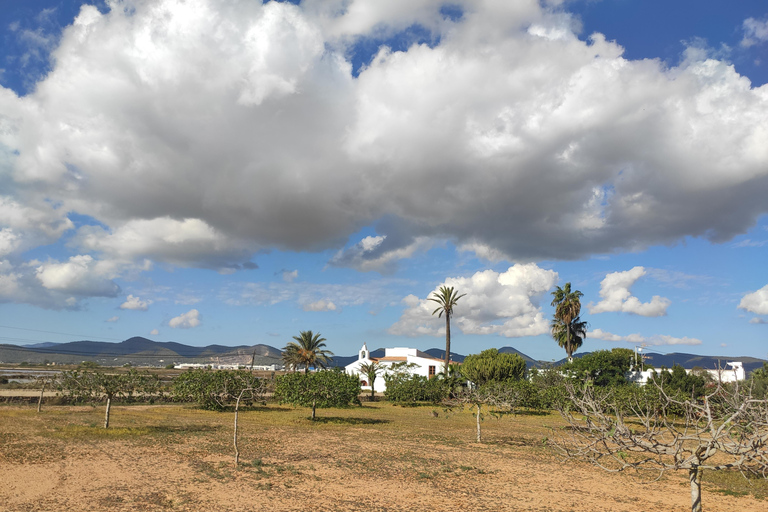 Ibiza : Les lits de sel, Es Vedra et le temps et l&#039;espace visite d&#039;une demi-journéeIbiza : Les lits de sel, Es Vedera et le temps et l&#039;espace visite d&#039;une demi-journée