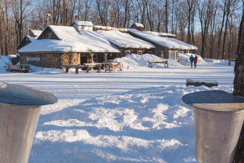 Tour de día completo a Sugar Shack con caramelos de arce desde Montreal