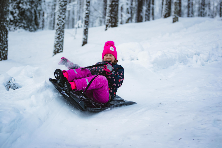 Levi：Arcandia，精灵法庭/日光和公园/黑暗精灵法庭：3 小时体验和公园之旅