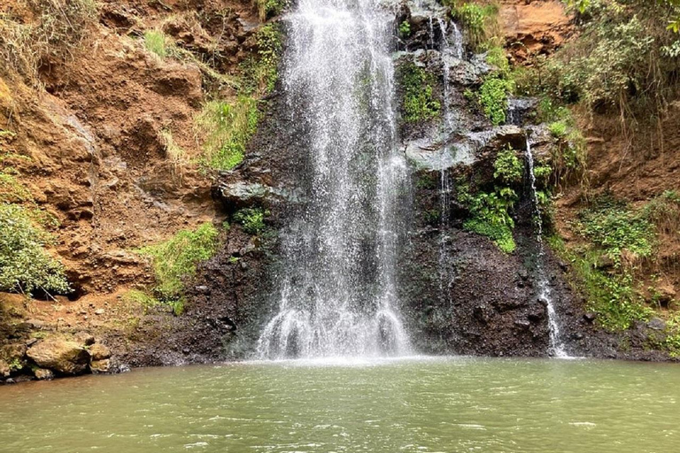 Nairobi: Caminhada pela Floresta Ngare Ndare e Canopy WalkNairobi: Caminhada pela Floresta Ngare Ndare e Passeio pela Copas das Árvores