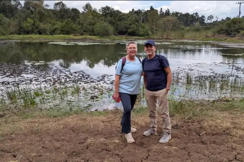 Karura guided walking tour
