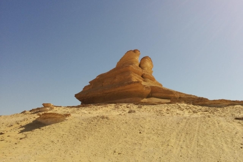 Z Kairu: 4-dniowa odyseja do oazy SiwaKair: Siwa Oasis Odyssey Ponadczasowa opowieść o cudach pustyni