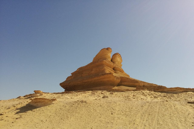 Il Cairo: Oasi di Bahariya e Deserto Bianco Un&#039;avventura privata di un giornoTour privato con diverse opzioni linguistiche