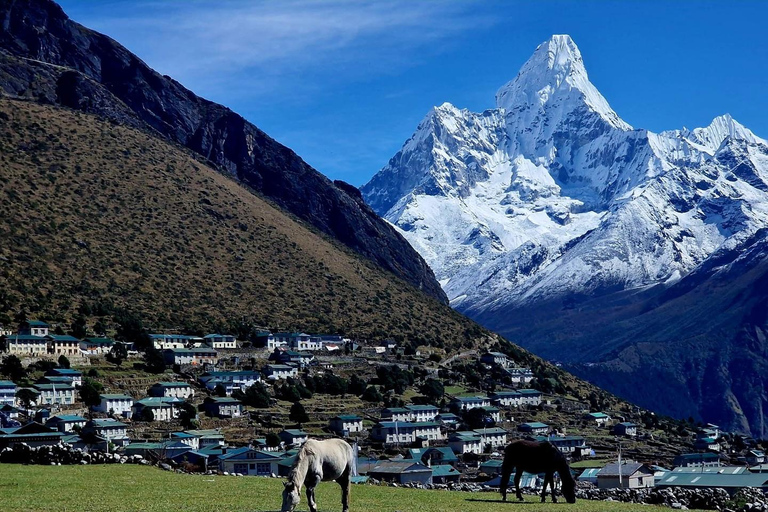 Kathmandu: Everest Base Camp Trek with Guide