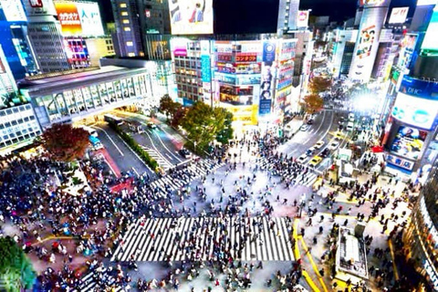 Tokyo Tour privado de un día con conductor de habla inglesa