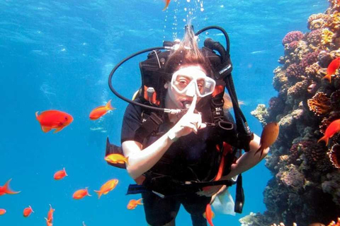 Sharm El Sheikh: Ras Mohamed Snorkeling & Diving Boat Trip Ras Mohamed & White Island – Snorkeling Package