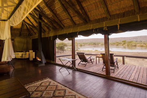 Mid-High end 5 dagars all-inclusive Kruger &amp; Pano Tour från JHB