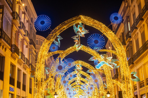 Vervoer naar de kerstverlichting in Malaga vanuit Estepona en Marbella