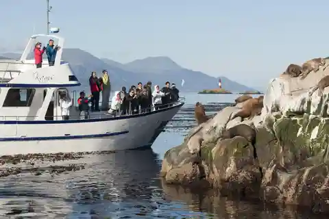 From Ushuaia: Beagle Channel Yacht Sailing Tour