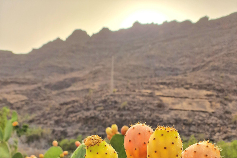 Experiência romântica para casal em Mogan Gran Canaria