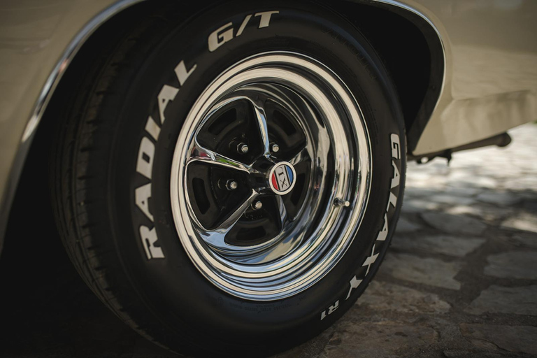 Genève: privé-dagtrip naar Montreux, Lausanne en Gruyères