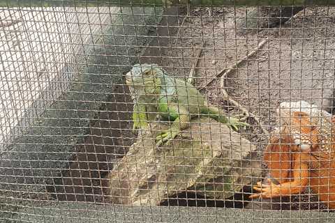 Chi so mountain _ Ta moa zoo_ Bati temple Tour