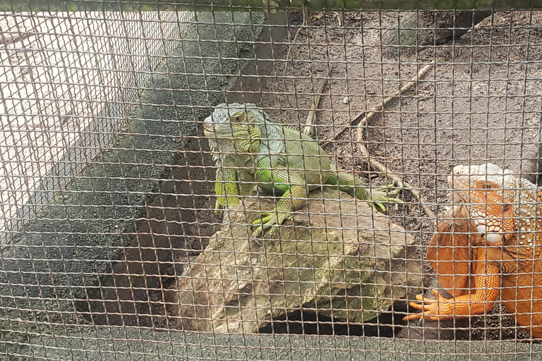 Chi so mountain _ Ta moa zoo_ Bati temple Tour