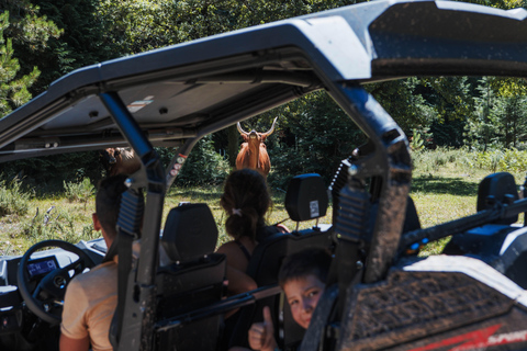 4 uur Buggytoer - Arcos de Valdevez - Peneda Gerêsbuggy 4 personen