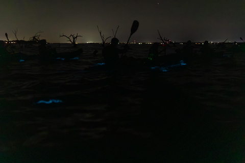 Cocoa Beach/Merritt Island:Bioluminescent kayak tour Single Kayak
