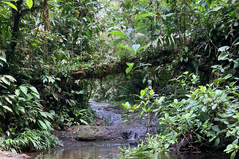 From Cali: Private VIP Motorcycle Adventure to San Cipriano, Pacific Jungle