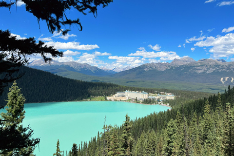 Private Day Tour - Lake Moraine,Louise,Peyto+Johnston Canyon private mini bus 14