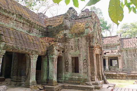 One Day Angkor Wat Trip with Sunrise