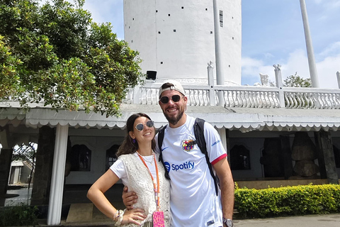 Kandy: Nuwara-Eliya Trip with Driver-Guide & Scenic Stops