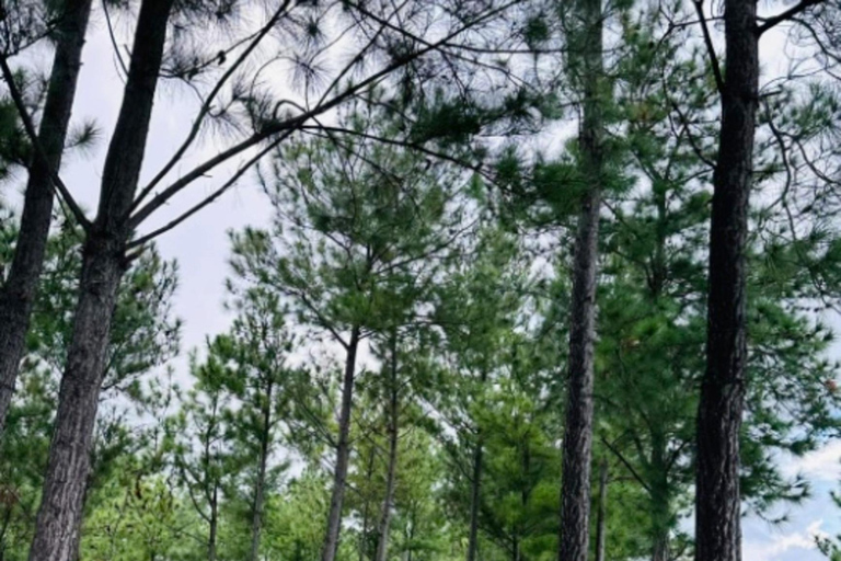 Nadi: Wycieczka do wodospadu z przekąskami i lunchemNadi: Wycieczka do wodospadu z poczęstunkiem i lunchem