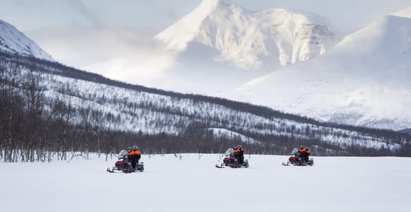 Tromsø: Arctic Combo: Dog Sledding, Snowmobile & Reindeer