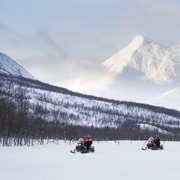 Tromsø: Arctic Combo: Dog Sledding, Snowmobile & Reindeer