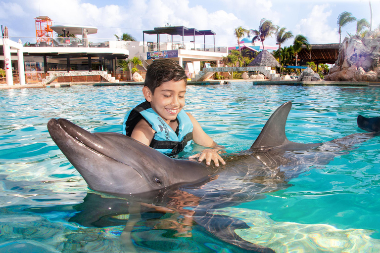 CANCUN:Dolphin Diamond Experience with Buffet and Water Park