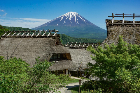 Tokio: Privétour naar Mount Fuji met ophaal- en terugbrengservice