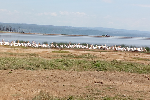 "Lake Naivasha Day Trip & Scenic Boat Ride Adventure"