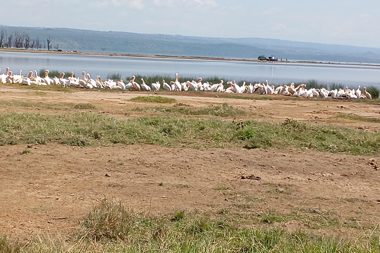 "Lake Naivasha Day Trip & Scenic Boat Ride Adventure"