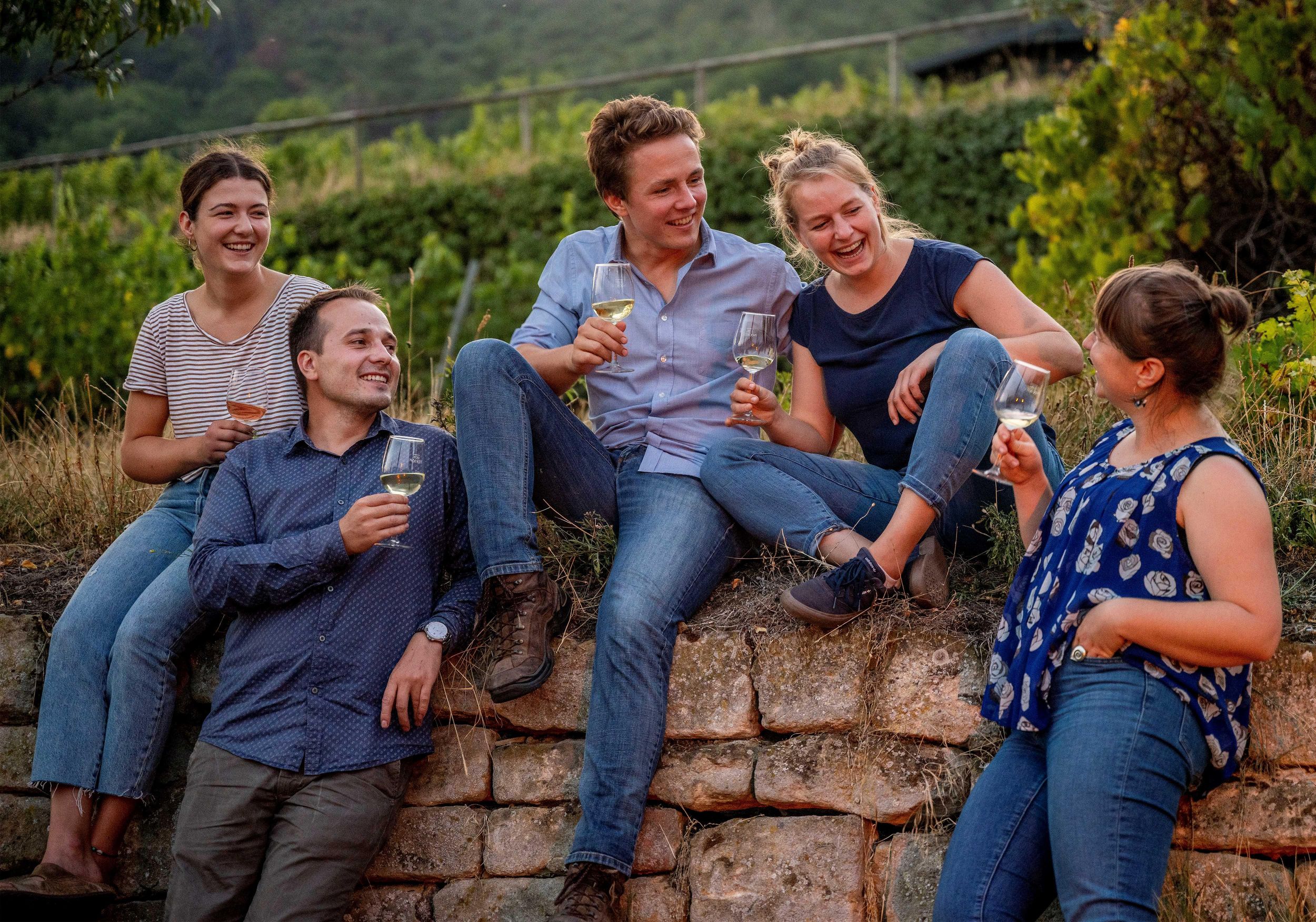 Neustadt: Weinprobe mit Kellerführung und Weinbergsbesichtigung