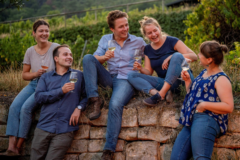 Weinprobe met Kellerführung en Weinbergsbesichtigung