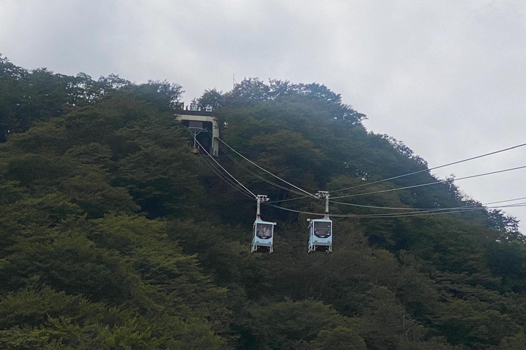 Tokyo: Nikko Unesco Heritage Private Day Tour &amp; Hotel Pickup