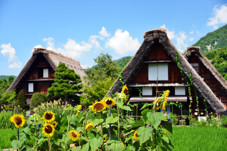 Kanazawa: Nostalgisk rundtur i Shirakawa-go och Kanazawa