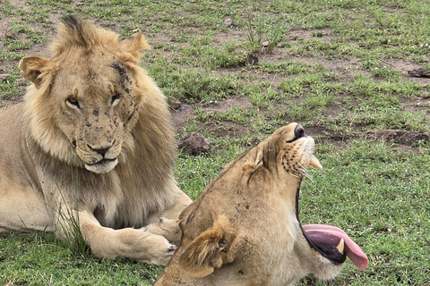 7 Days Best of Uganda Wildlife & Gorilla Encounter